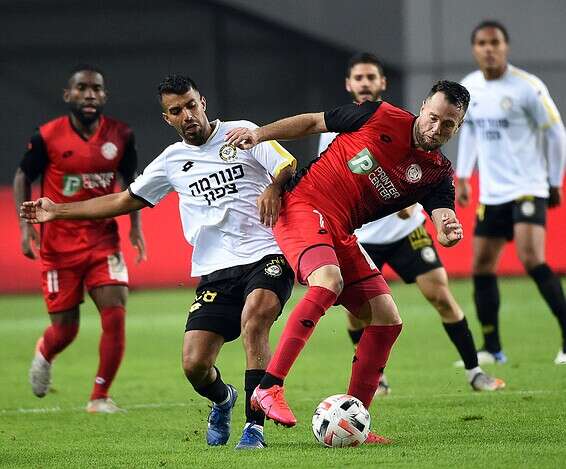 מסיקה ושחף במאבק, הערב // צילום: ברני ארדוב